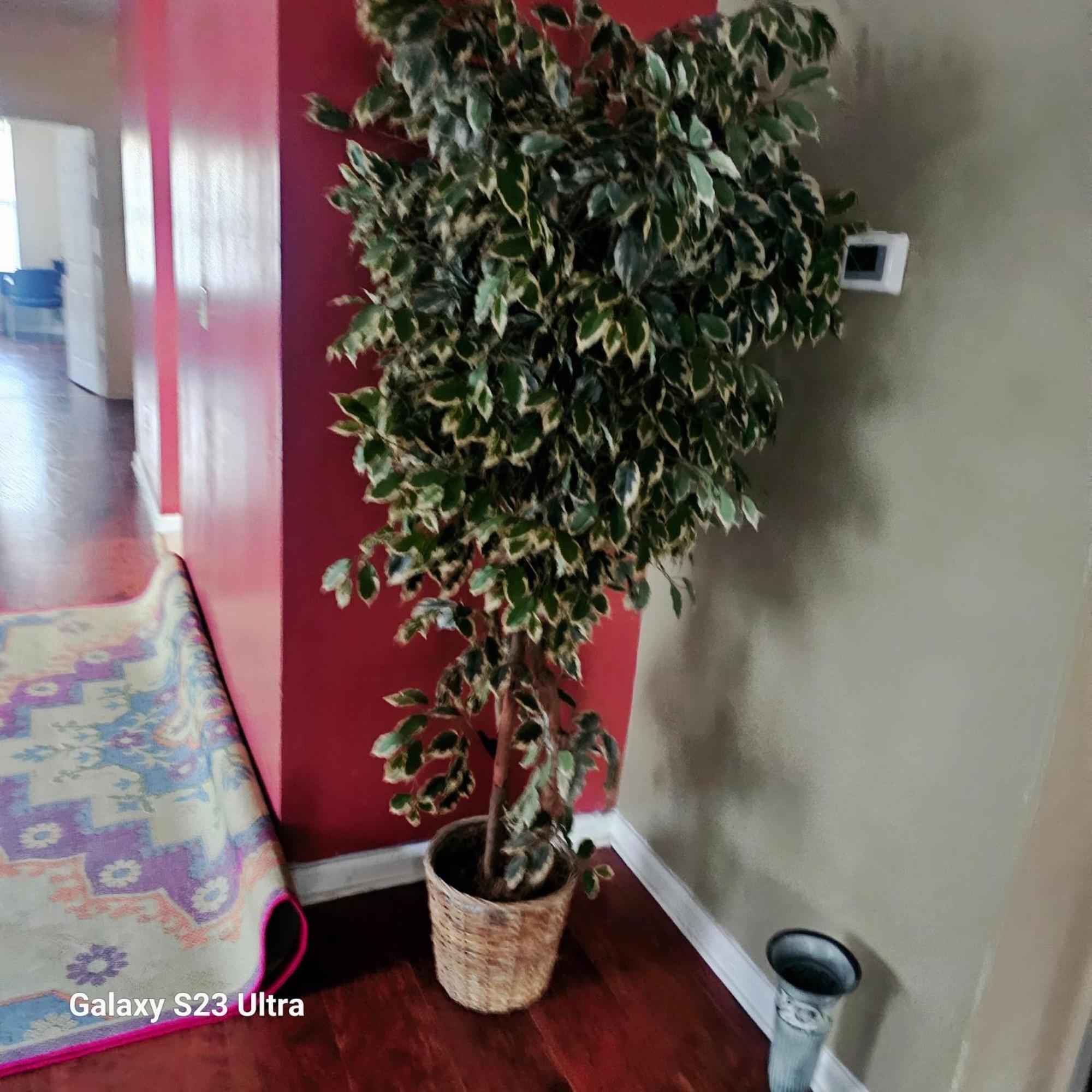 Divine Villa & Resorts Guest House - 283 Lehigh Ave 뉴어크 외부 사진